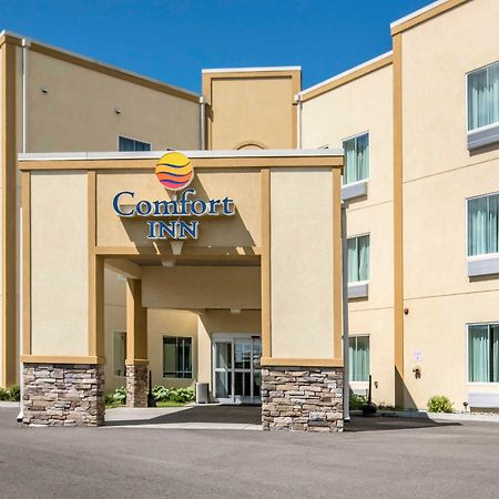 Comfort Inn Apalachin - Binghamton W Route 17 Exteriér fotografie