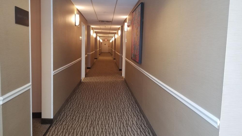 Comfort Inn Apalachin - Binghamton W Route 17 Exteriér fotografie