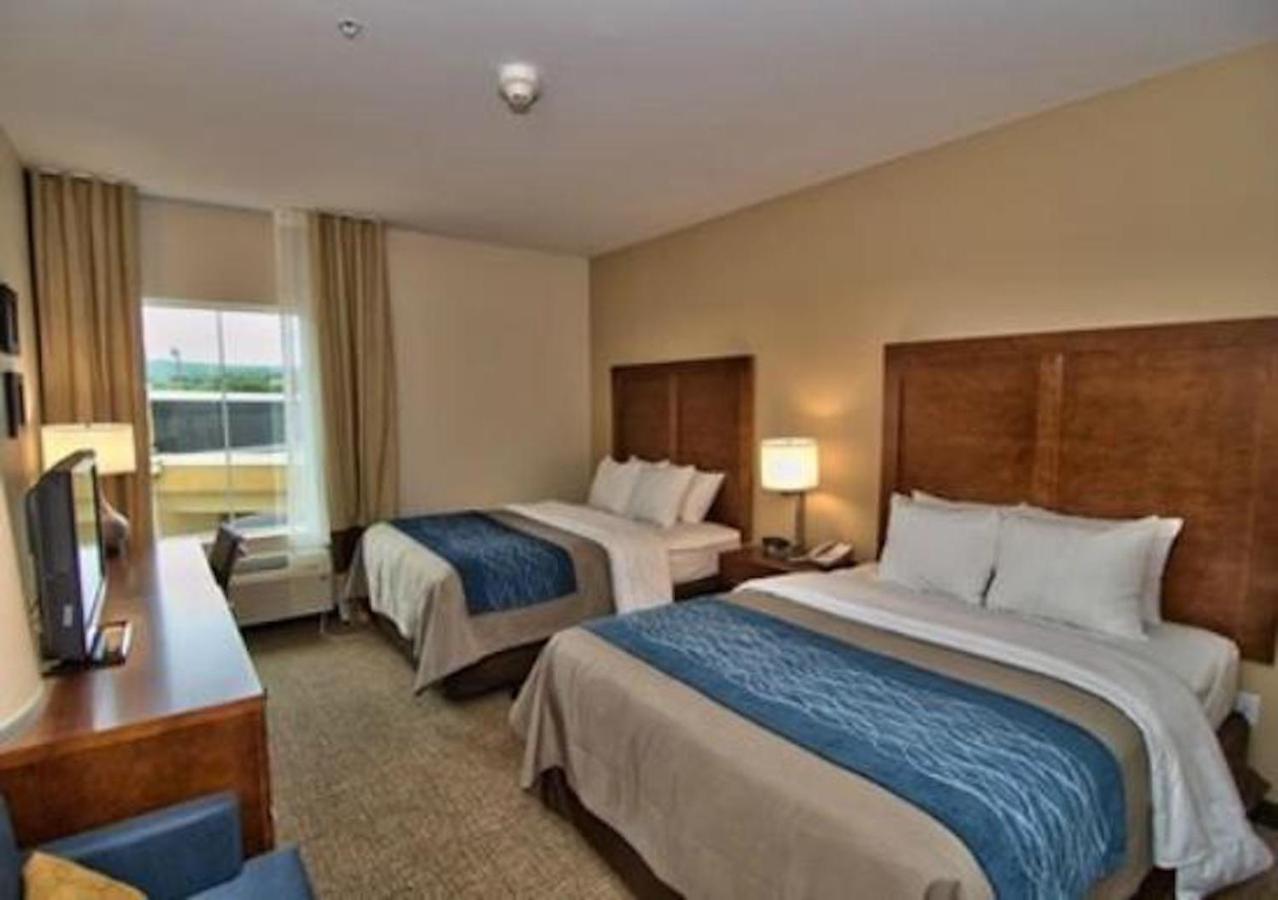 Comfort Inn Apalachin - Binghamton W Route 17 Exteriér fotografie