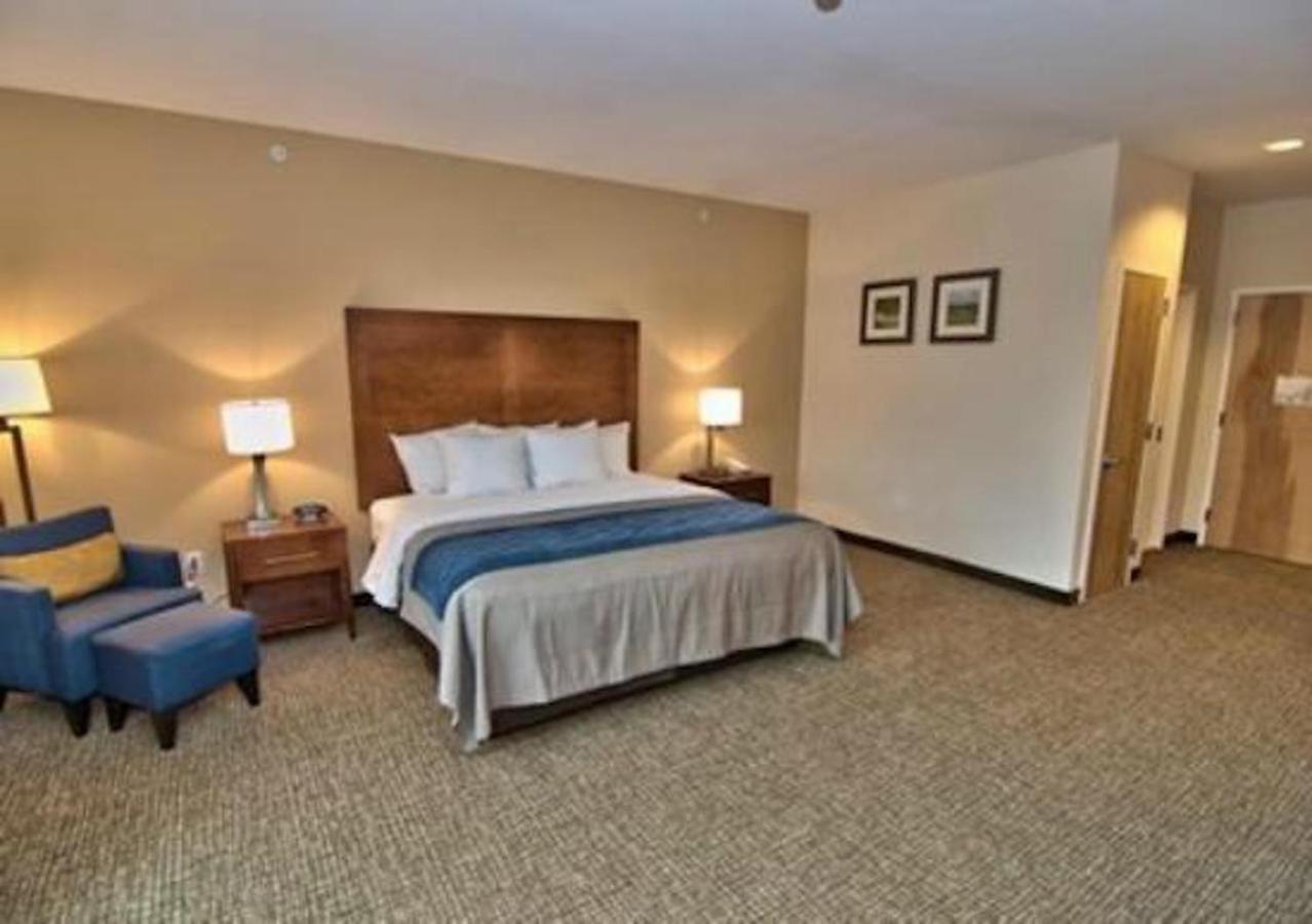 Comfort Inn Apalachin - Binghamton W Route 17 Exteriér fotografie