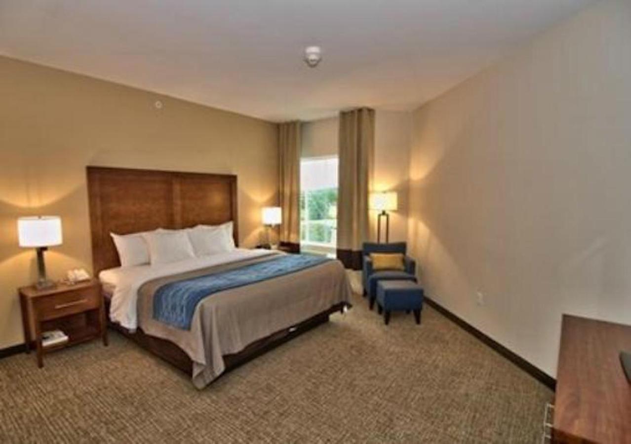 Comfort Inn Apalachin - Binghamton W Route 17 Exteriér fotografie