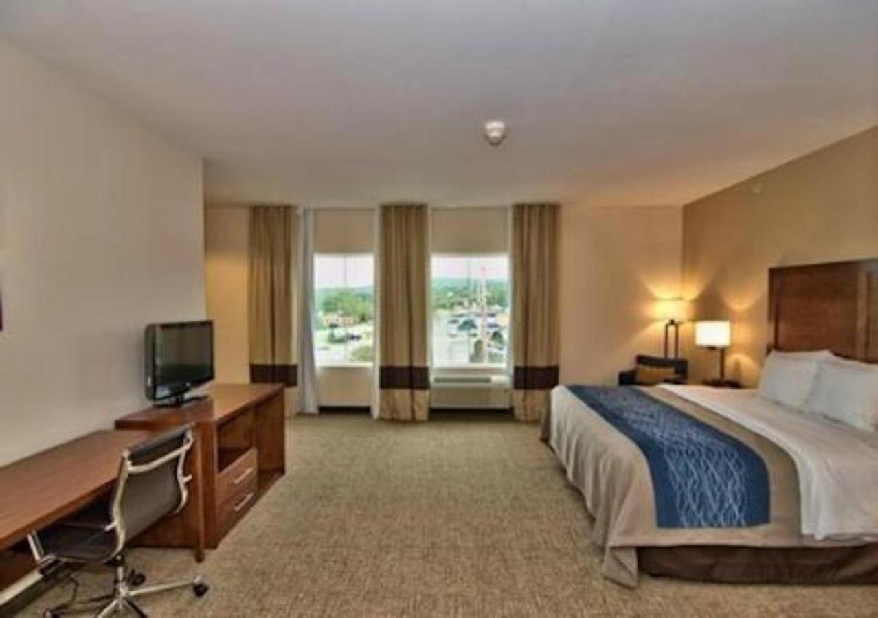 Comfort Inn Apalachin - Binghamton W Route 17 Exteriér fotografie