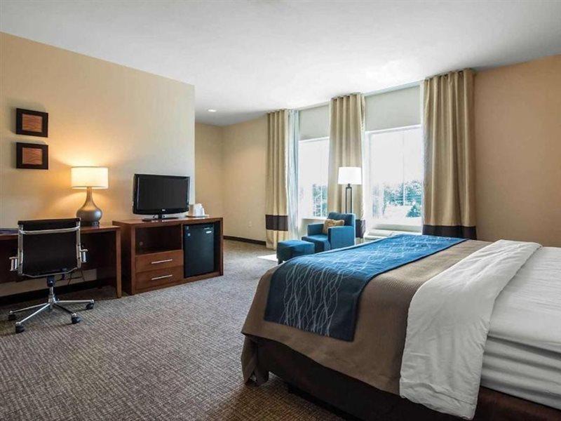 Comfort Inn Apalachin - Binghamton W Route 17 Exteriér fotografie