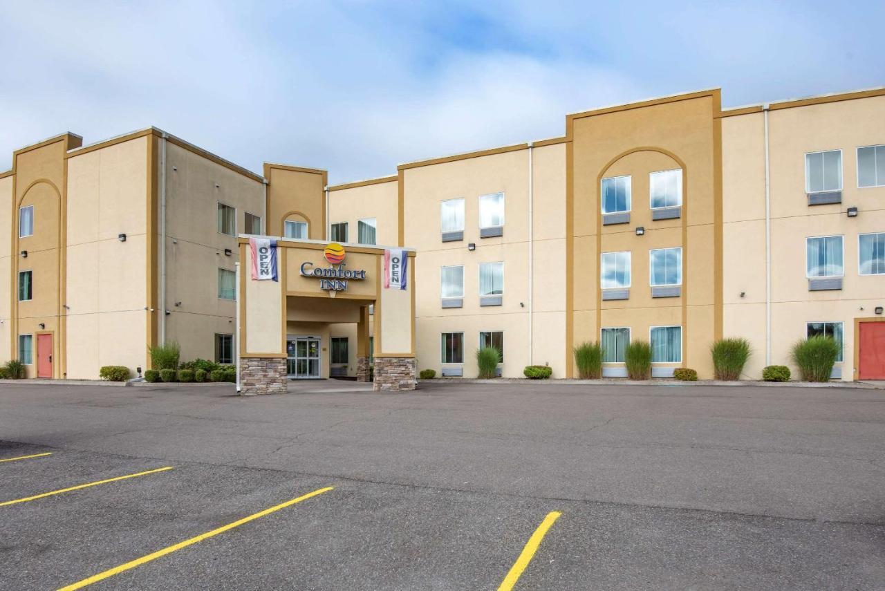 Comfort Inn Apalachin - Binghamton W Route 17 Exteriér fotografie
