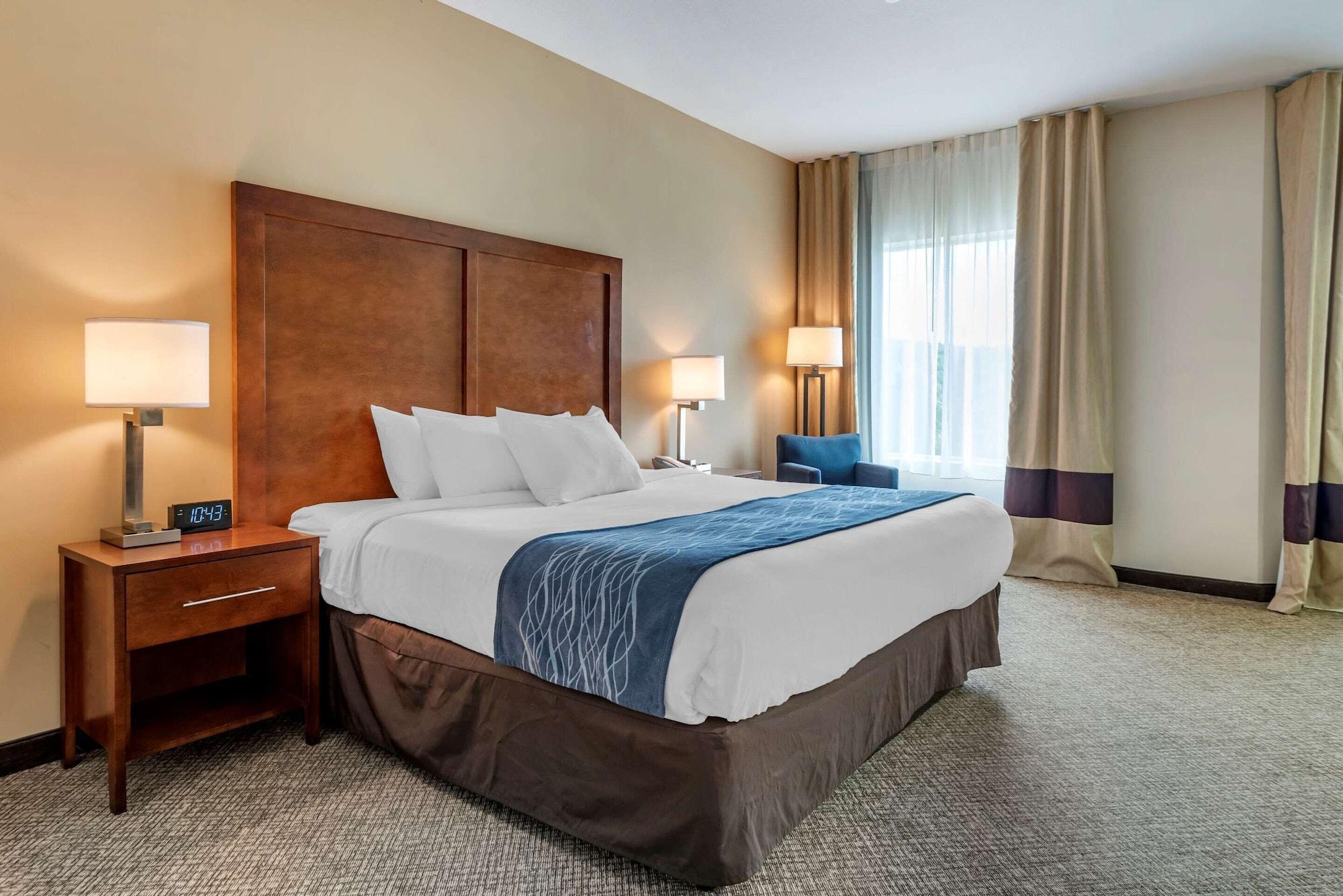 Comfort Inn Apalachin - Binghamton W Route 17 Exteriér fotografie