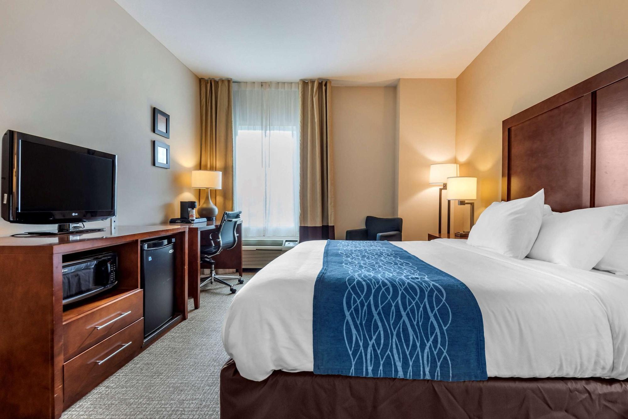 Comfort Inn Apalachin - Binghamton W Route 17 Exteriér fotografie