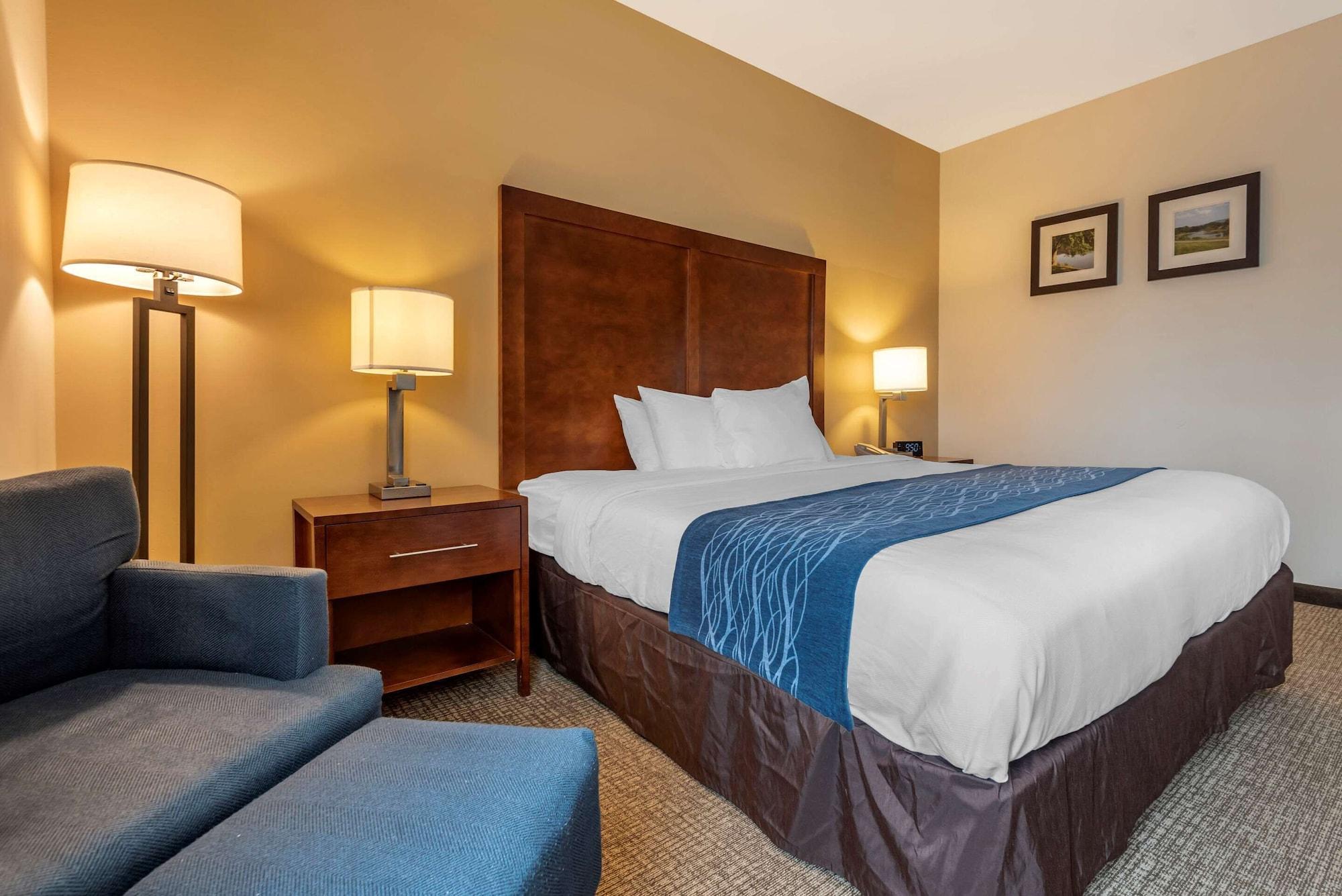 Comfort Inn Apalachin - Binghamton W Route 17 Exteriér fotografie