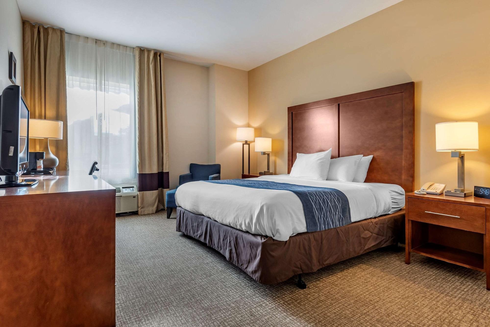 Comfort Inn Apalachin - Binghamton W Route 17 Exteriér fotografie