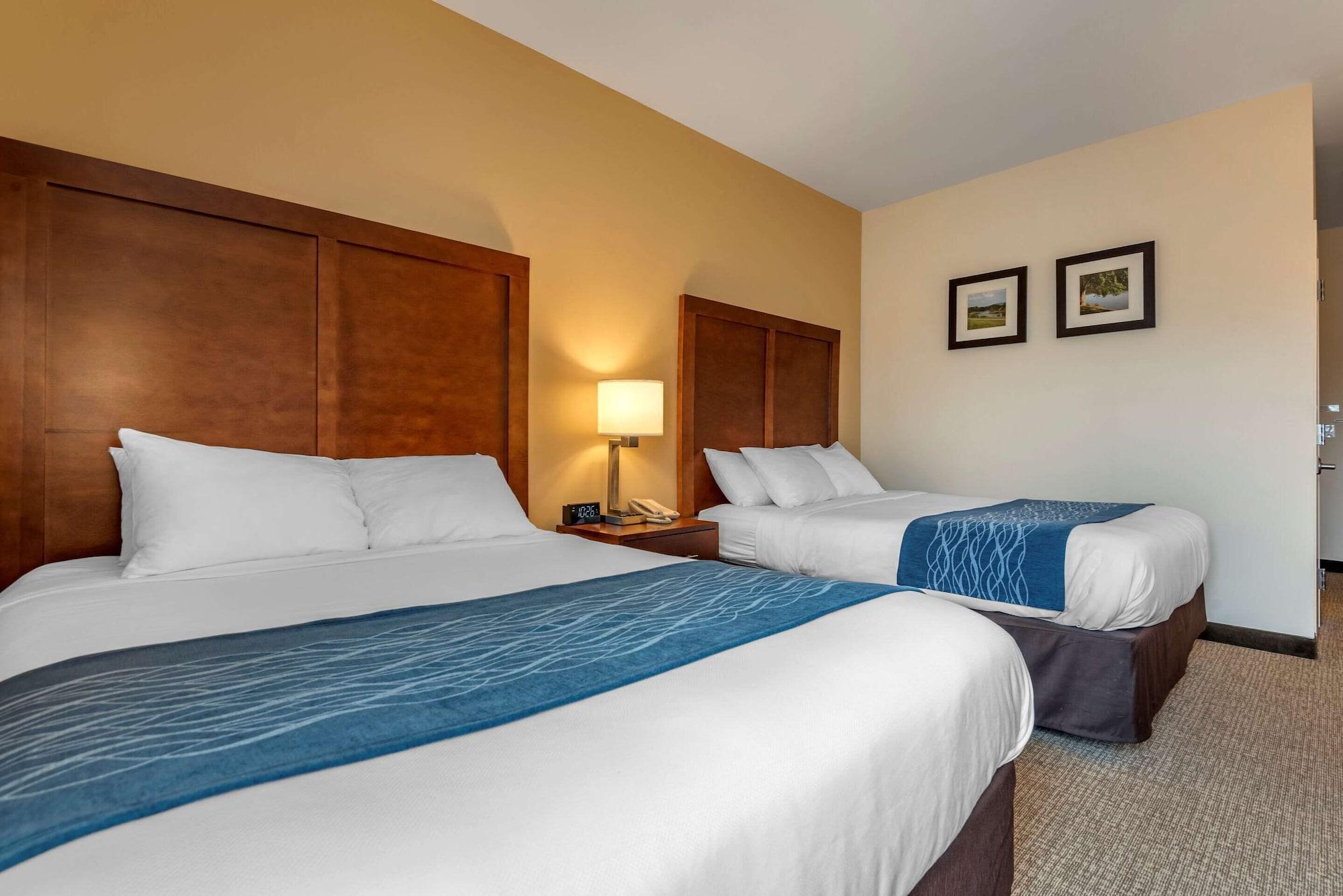 Comfort Inn Apalachin - Binghamton W Route 17 Exteriér fotografie