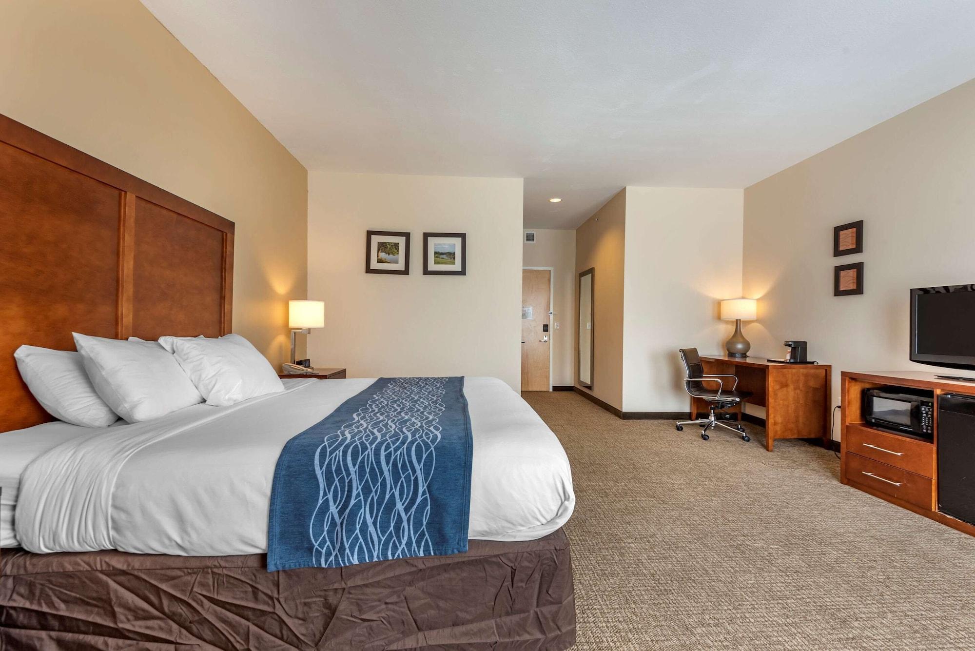 Comfort Inn Apalachin - Binghamton W Route 17 Exteriér fotografie