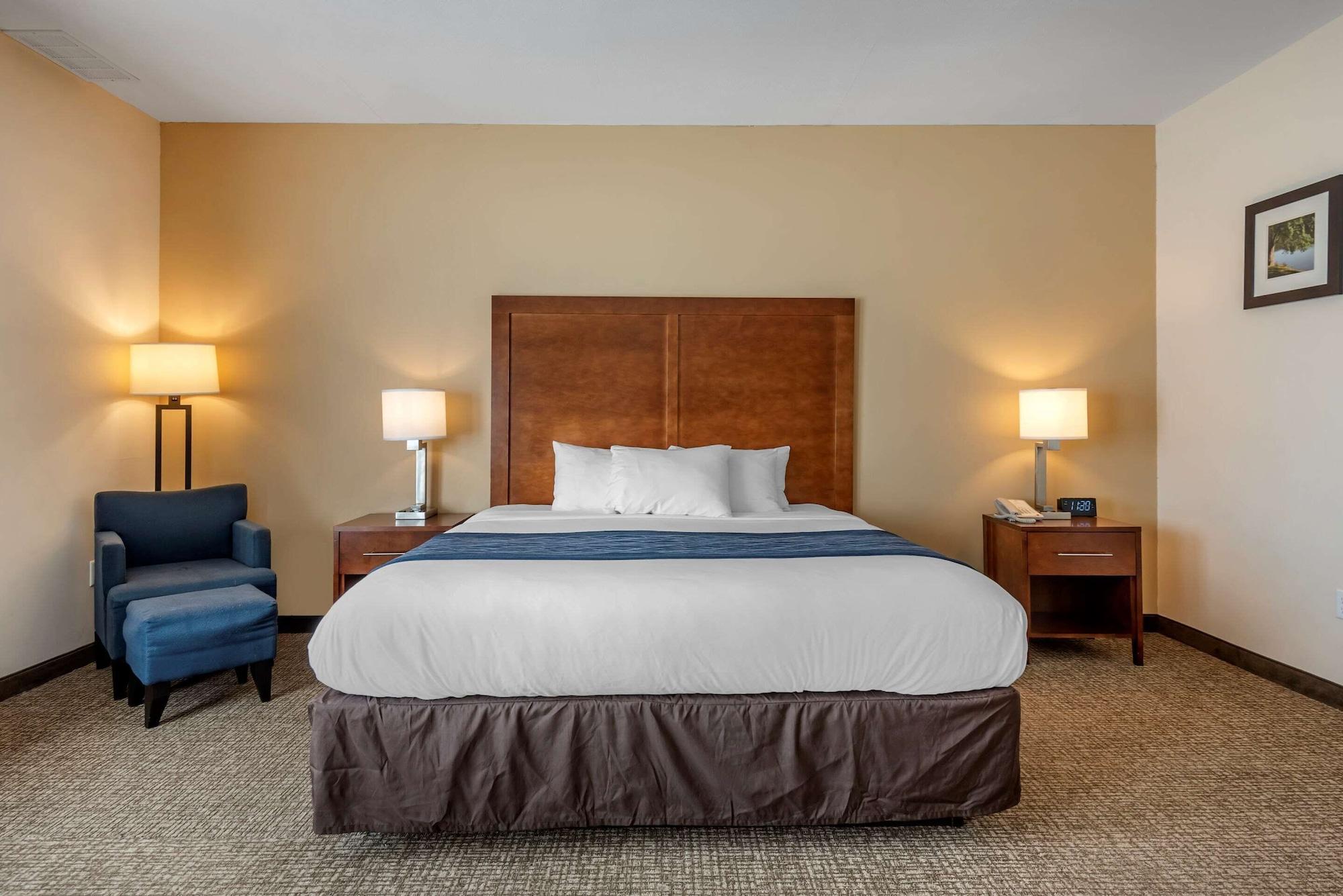 Comfort Inn Apalachin - Binghamton W Route 17 Exteriér fotografie