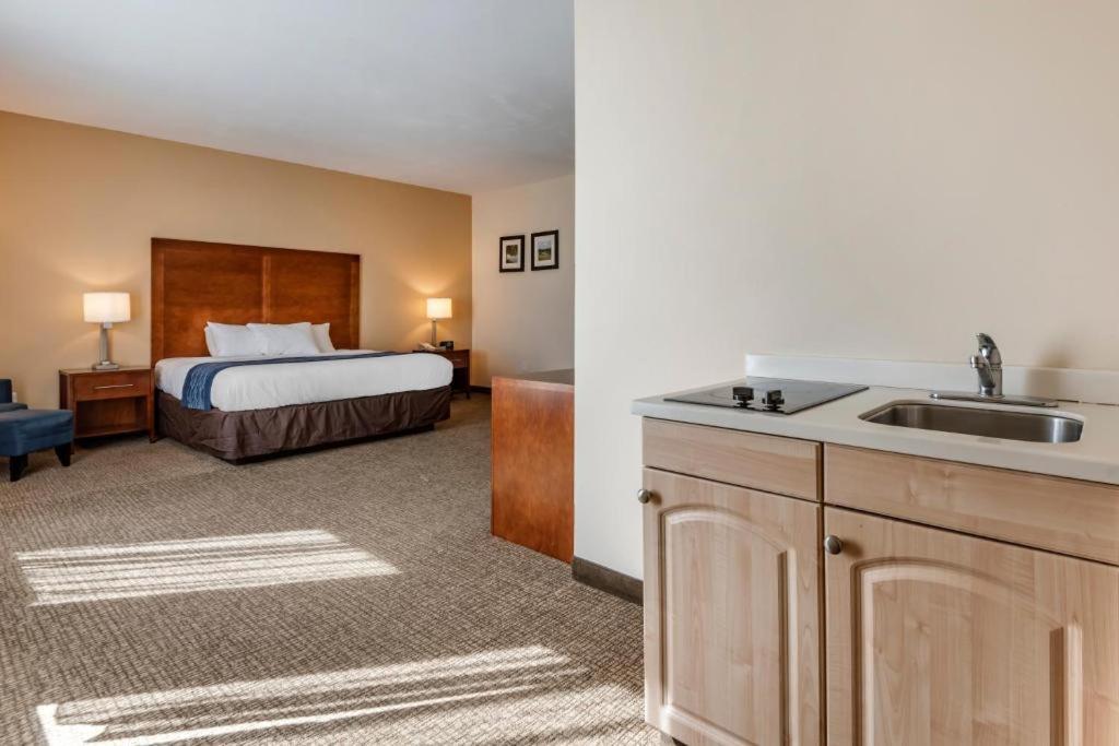 Comfort Inn Apalachin - Binghamton W Route 17 Exteriér fotografie