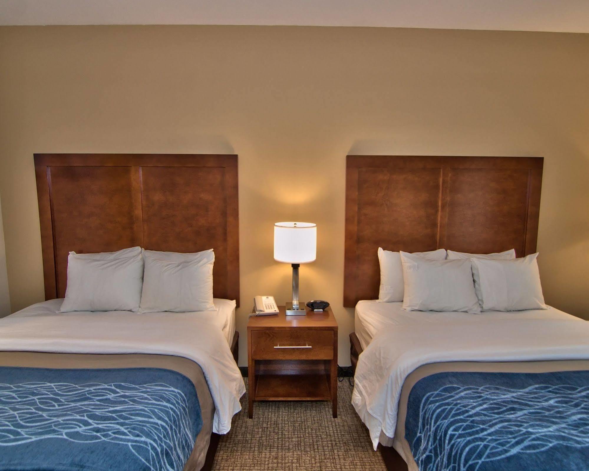 Comfort Inn Apalachin - Binghamton W Route 17 Exteriér fotografie